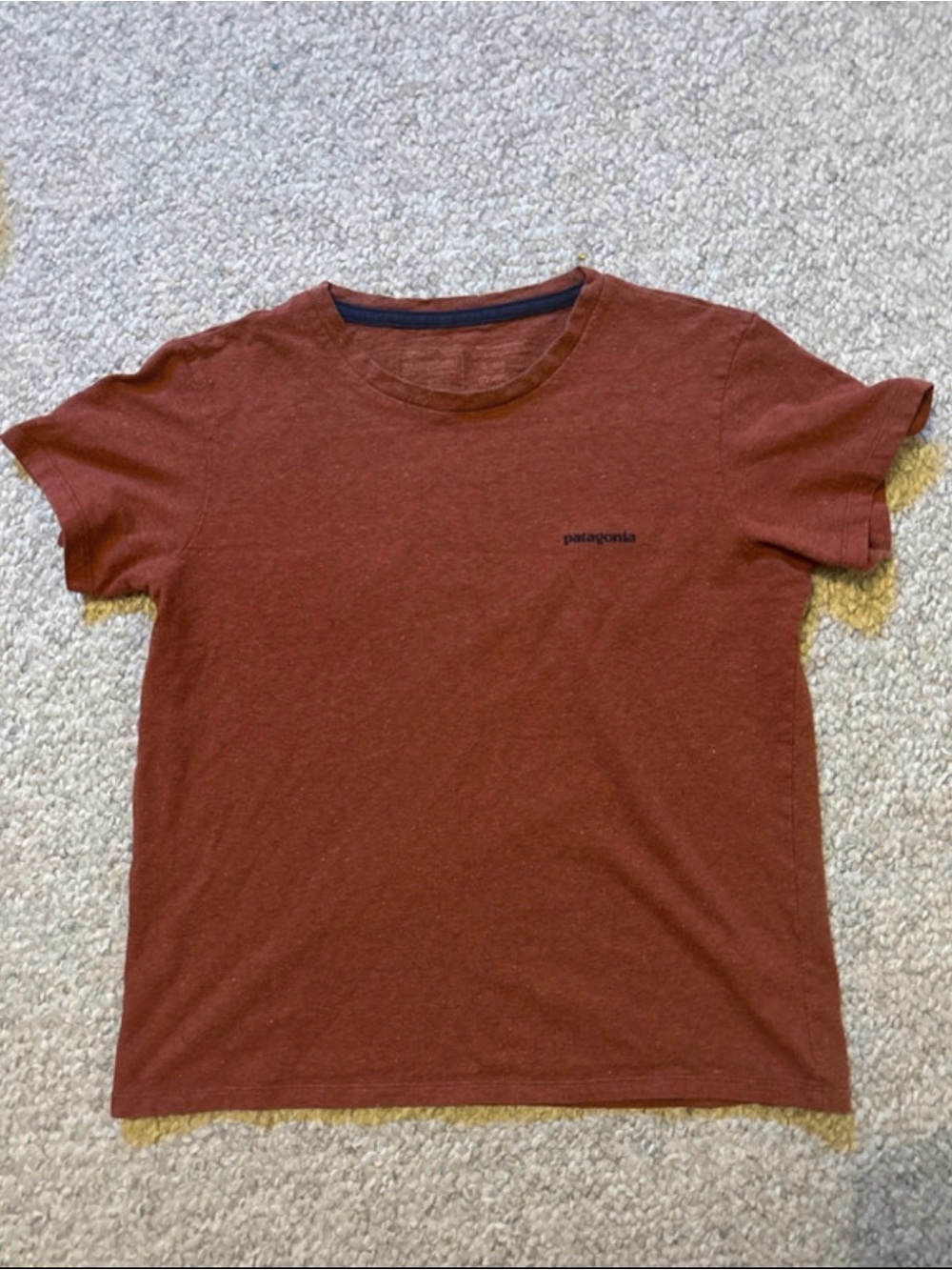 Patagonia Women’s Rust-Red Crew Neck Short Sleeve Tee